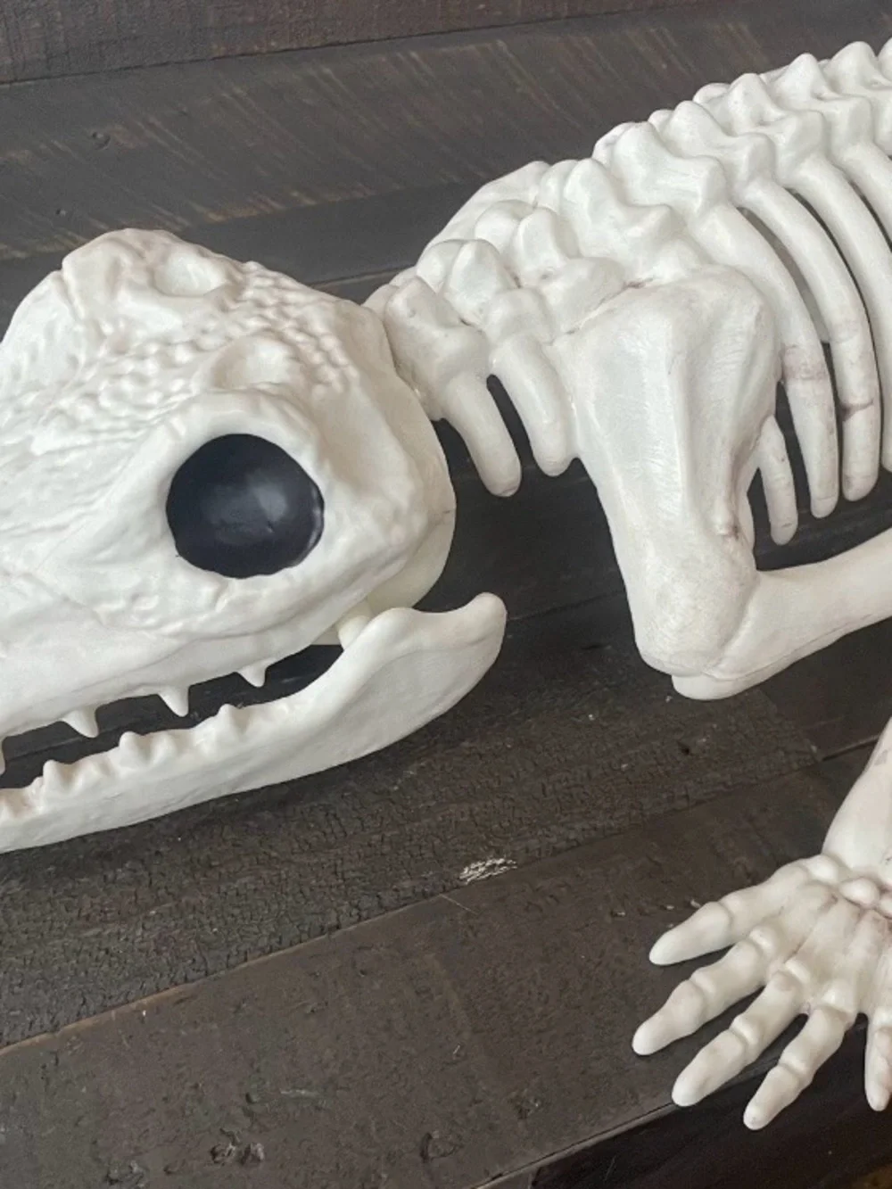 Crazy bonez white reptile